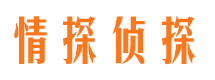 宜秀找人公司